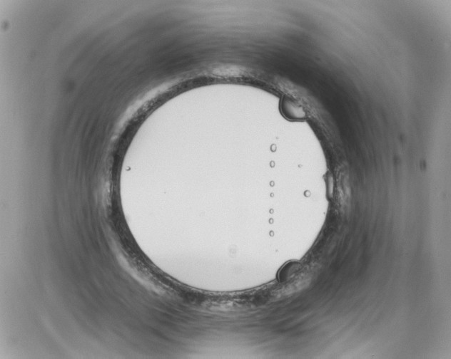 X0000086110728200704202305