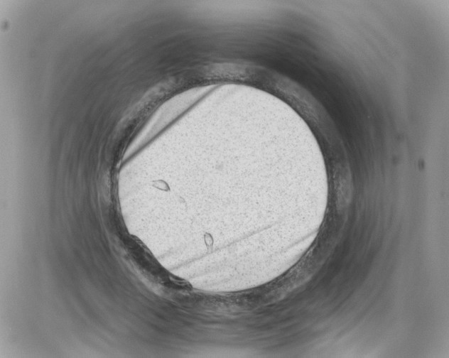 X0000086110729200704202305