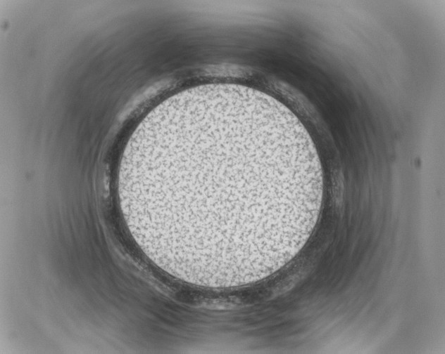 X0000086110731200704202305