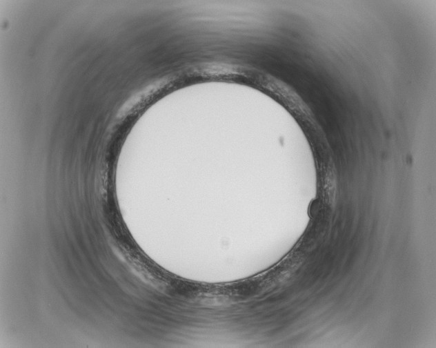 X0000086110732200704202305