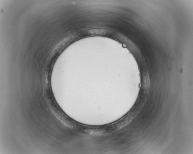 X0000086110733200704202305