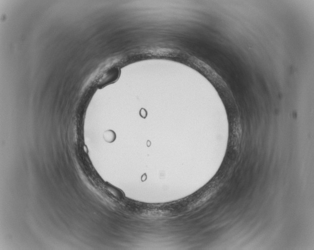 X0000086110734200704202305