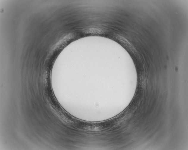 X0000086110735200704202305