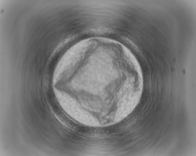 X0000086110736200704202305