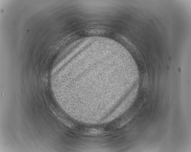 X0000086110737200704202305