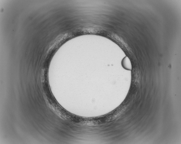 X0000086110738200704202305