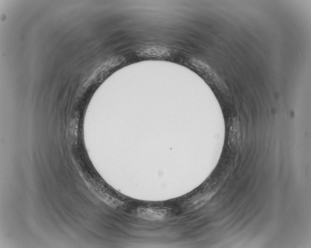 X0000086110739200704202305