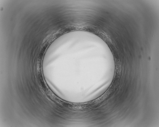 X0000086110740200704202305