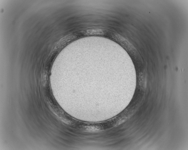 X0000086110741200704202305