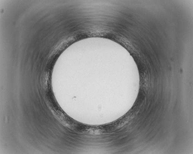 X0000086110742200704202305