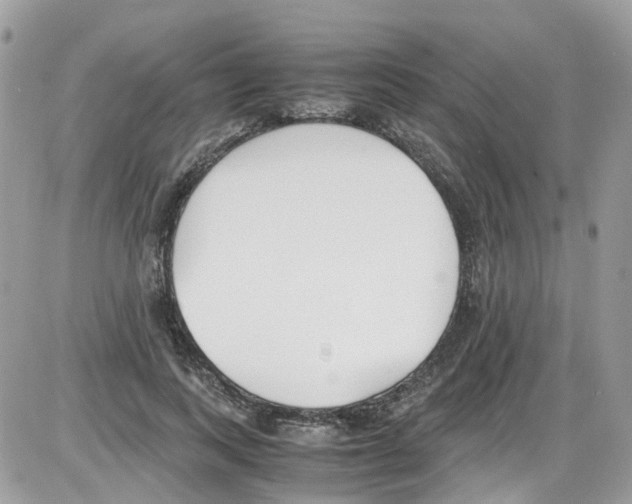 X0000086110743200704202305