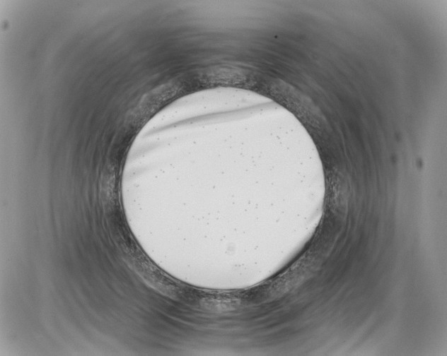 X0000086110745200704202305