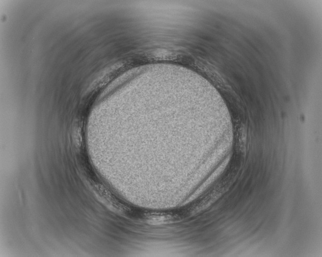 X0000086110746200704202305