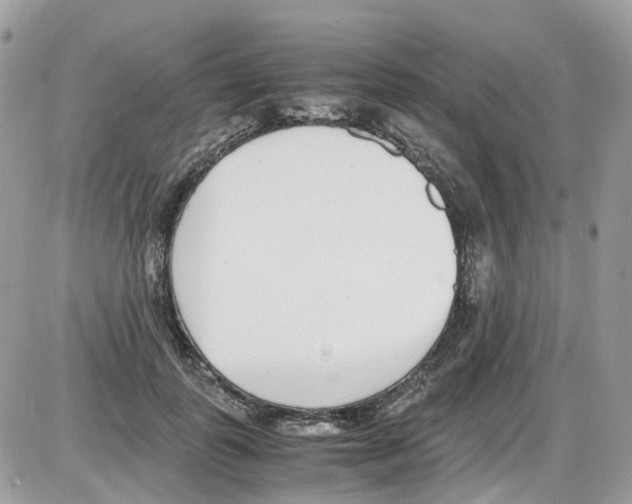 X0000086110747200704202305