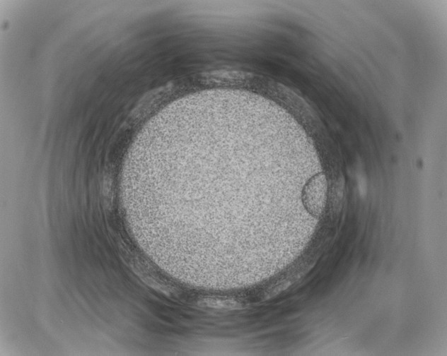 X0000086110749200704202305