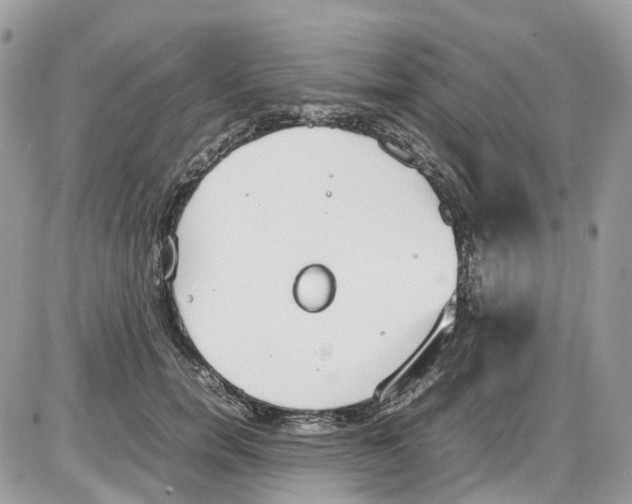 X0000086110750200704202305