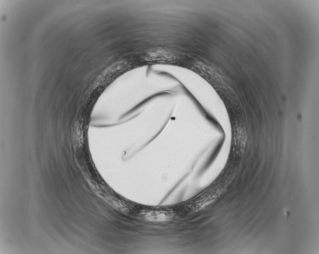 X0000086110751200704202305