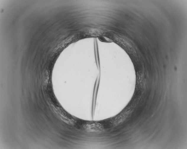 X0000086110752200704202305