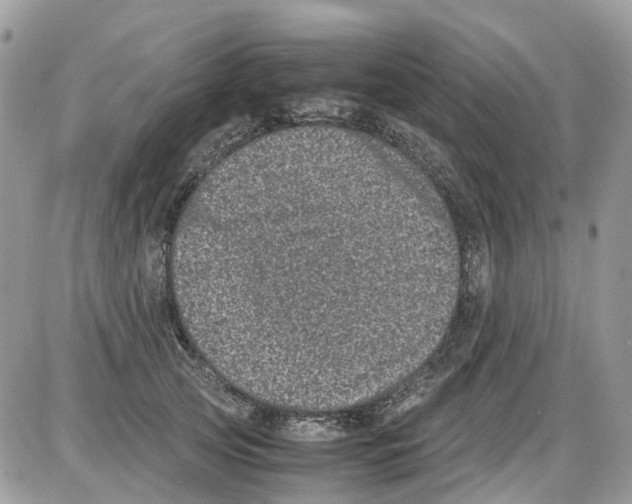 X0000086110753200704202305