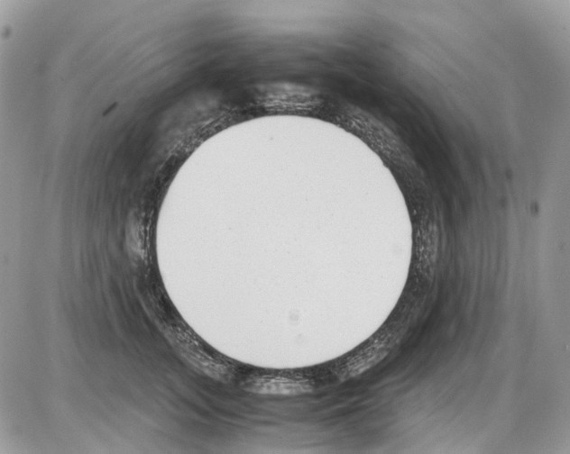 X0000086110755200704202305