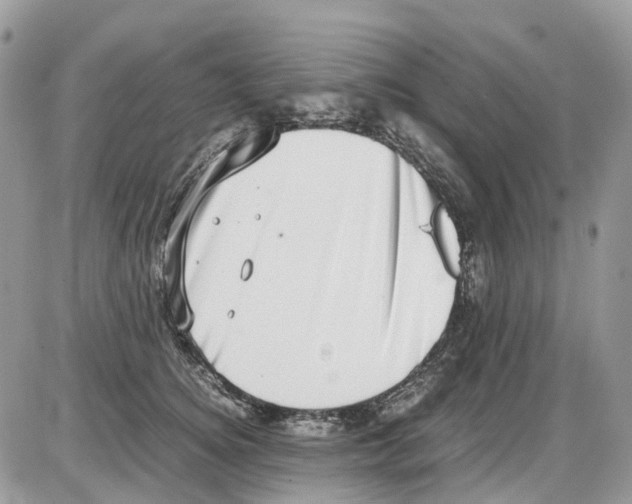 X0000086110756200704202305