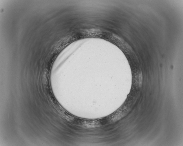 X0000086110757200704202305