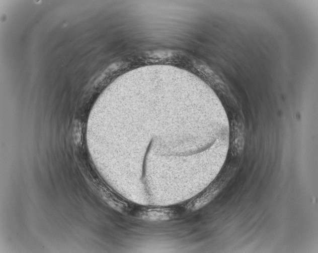 X0000086110758200704202305