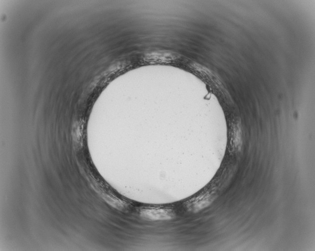 X0000086110759200704202305