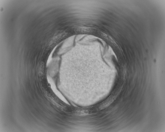 X0000086110760200704202305