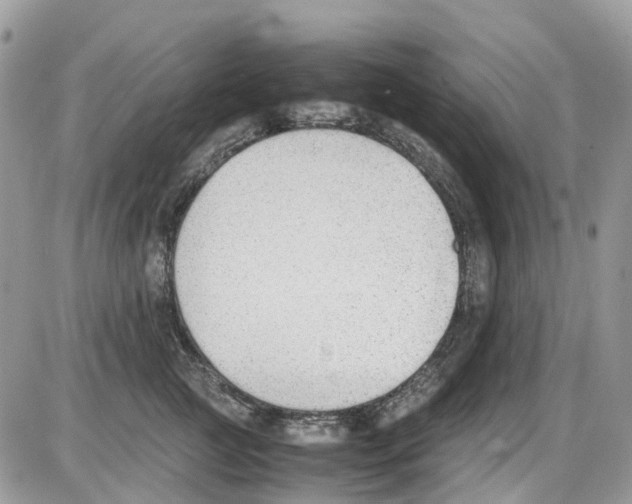 X0000086110761200704202305