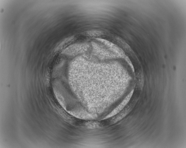 X0000086110762200704202305