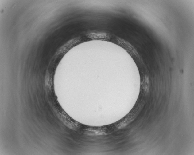 X0000086110763200704202306