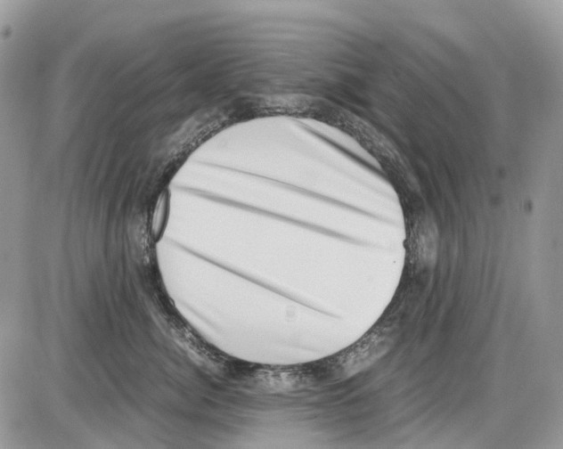 X0000086110764200704202306