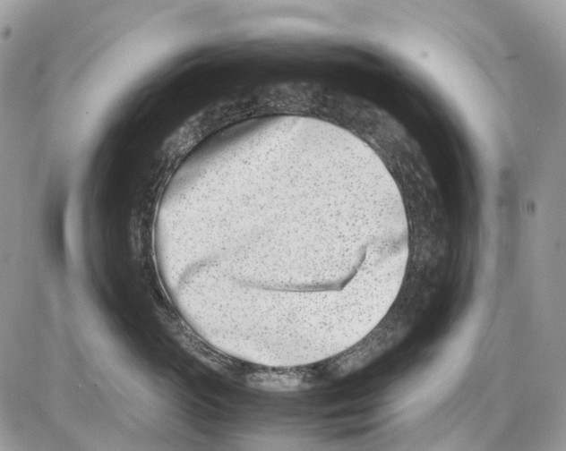 X0000086110765200704202306