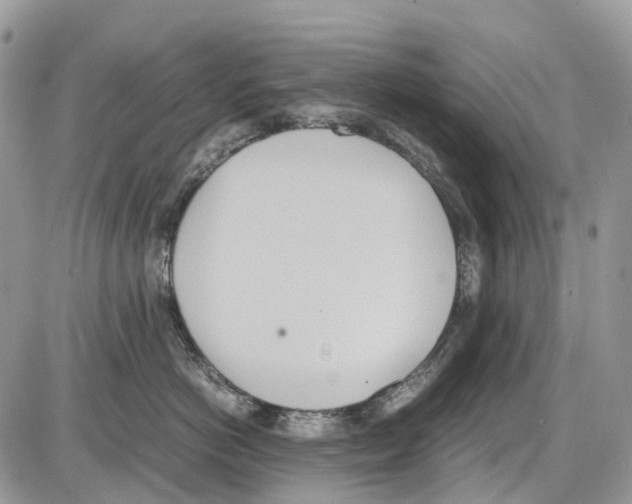 X0000086110766200704202306