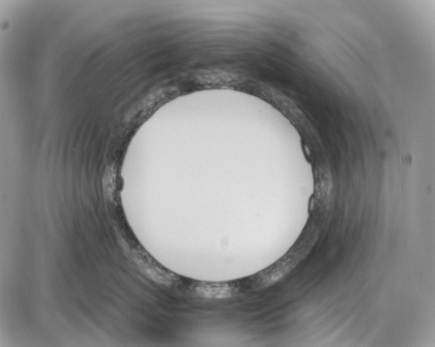 X0000086110767200704202306