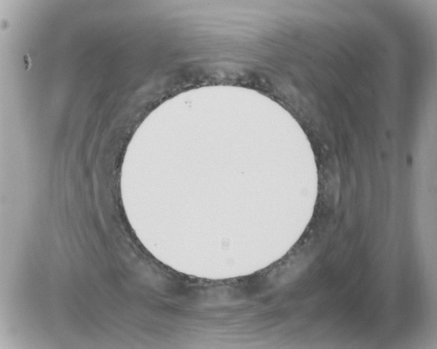 X0000086110769200704202305