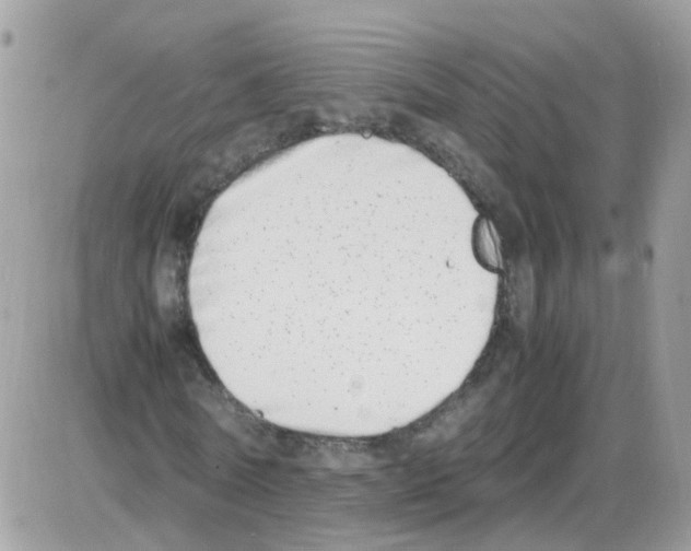 X0000086110770200704202305