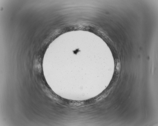 X0000086110771200704202305