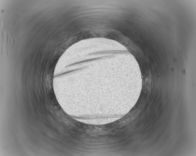 X0000086110772200704202305