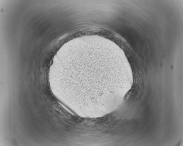 X0000086110773200704202305