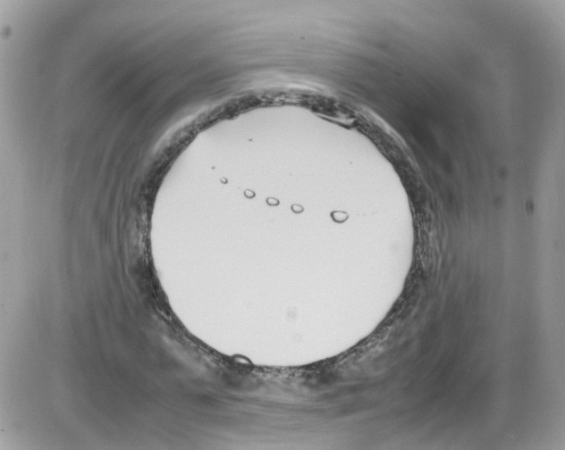 X0000086110775200704202305