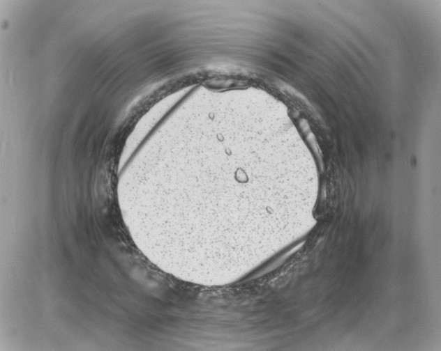 X0000086110776200704202305