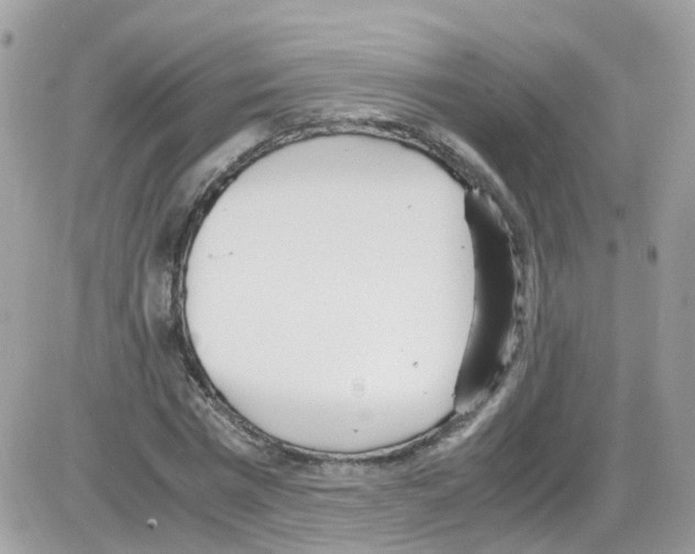 X0000086110777200704202305