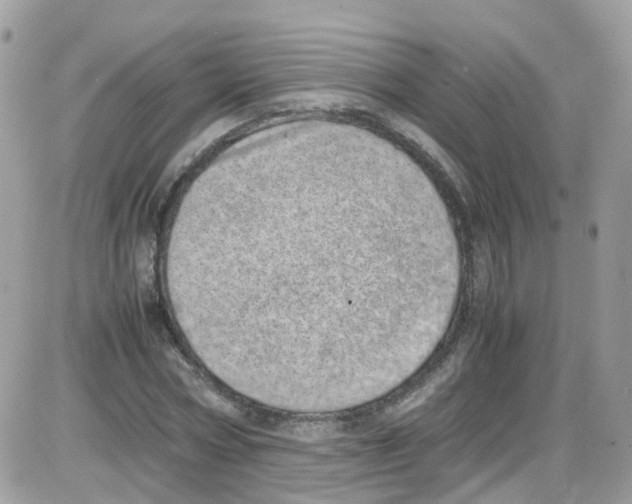 X0000086110778200704202305