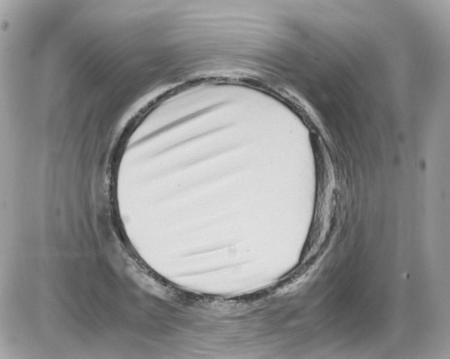 X0000086110779200704202305