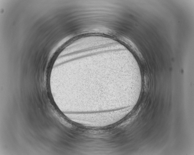 X0000086110780200704202305