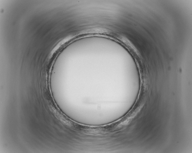 X0000086110781200704202305