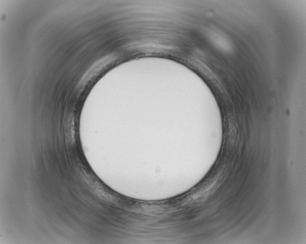 X0000086110782200704202305