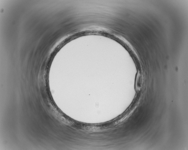 X0000086110783200704202305